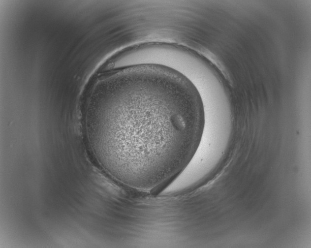 X0000068850926200605191947