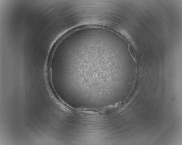 X0000068850928200605191947