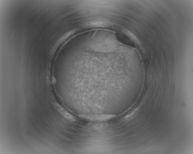 X0000068850930200605191947