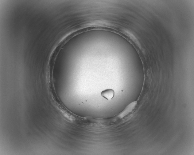 X0000068850931200605191947