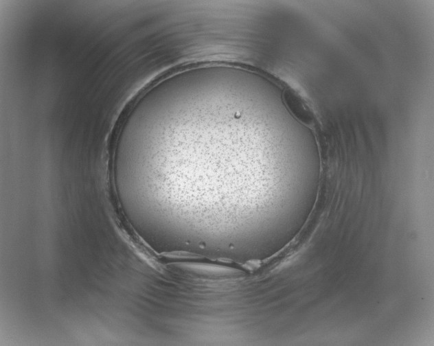 X0000068850933200605191947