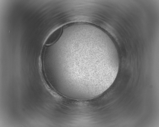 X0000068850936200605191947