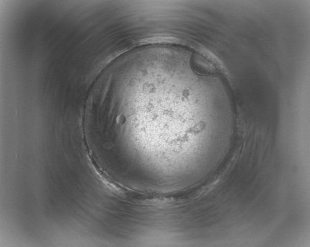 X0000068850937200605191948