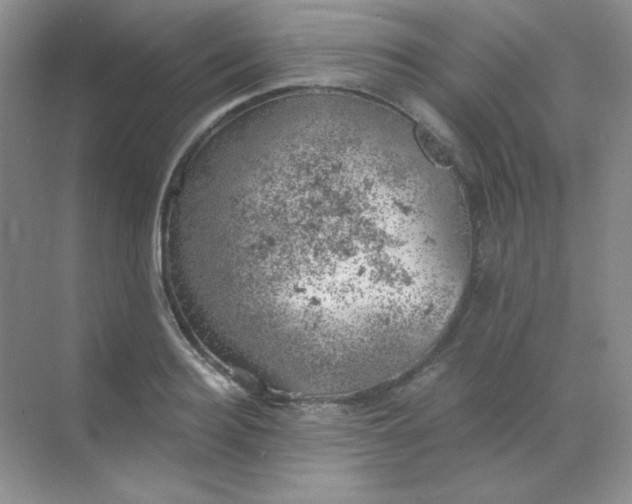 X0000068850940200605191948