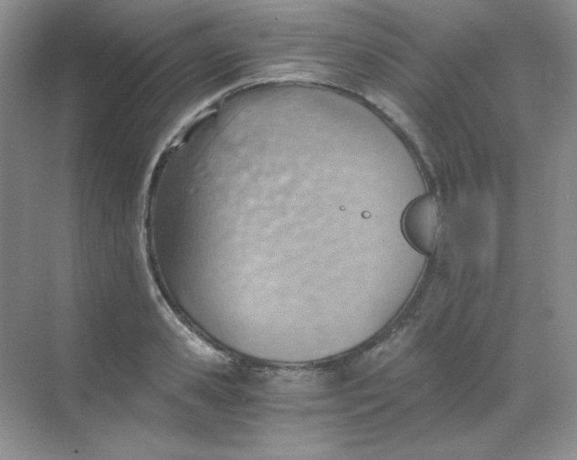 X0000068850941200605191948