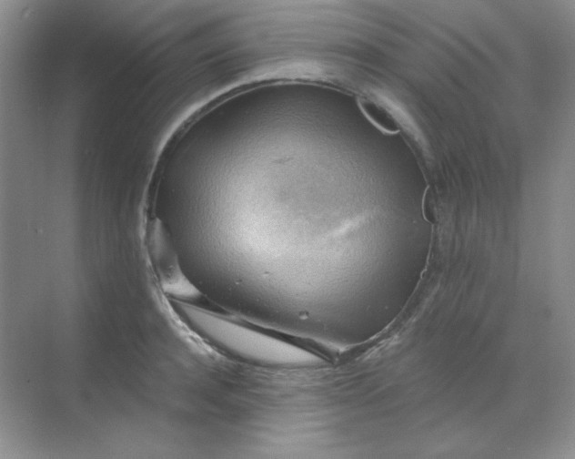 X0000068850944200605191948