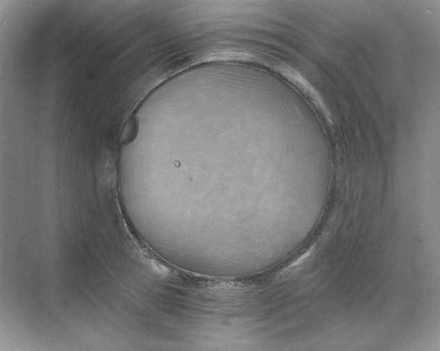 X0000068850945200605191948