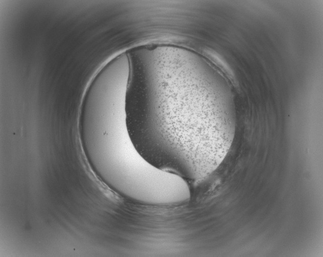 X0000068850948200605191948