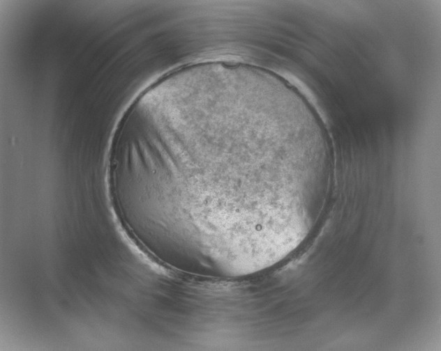 X0000068850949200605191948