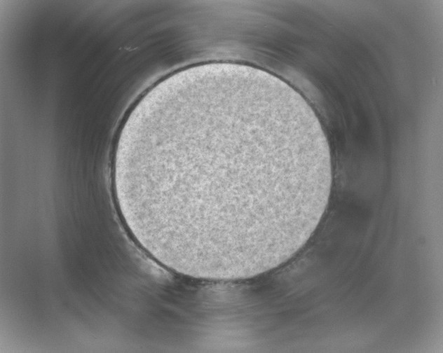 X0000068850950200605191948