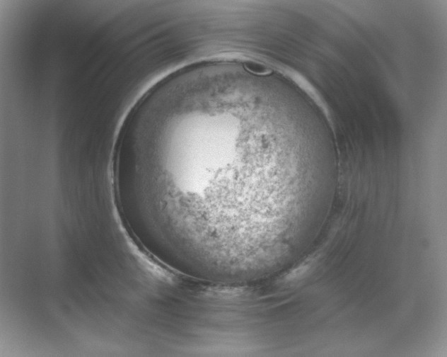 X0000068850951200605191948