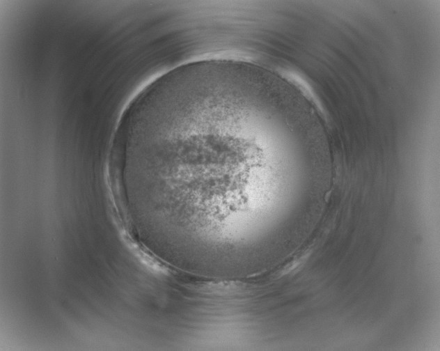 X0000068850952200605191948