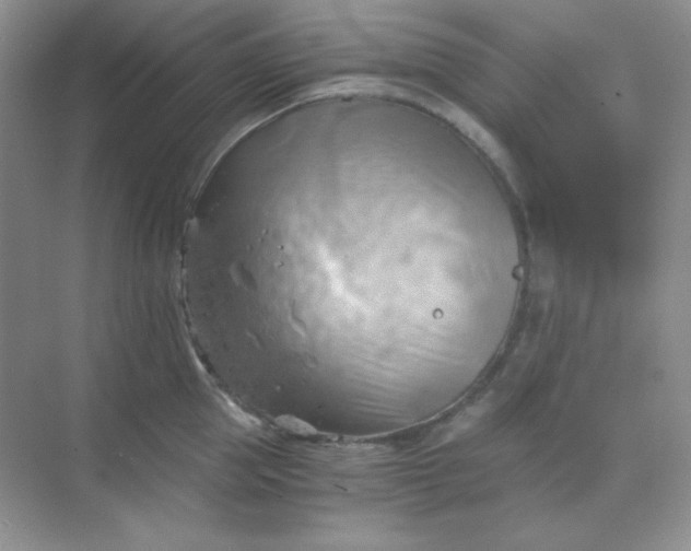 X0000068850953200605191948