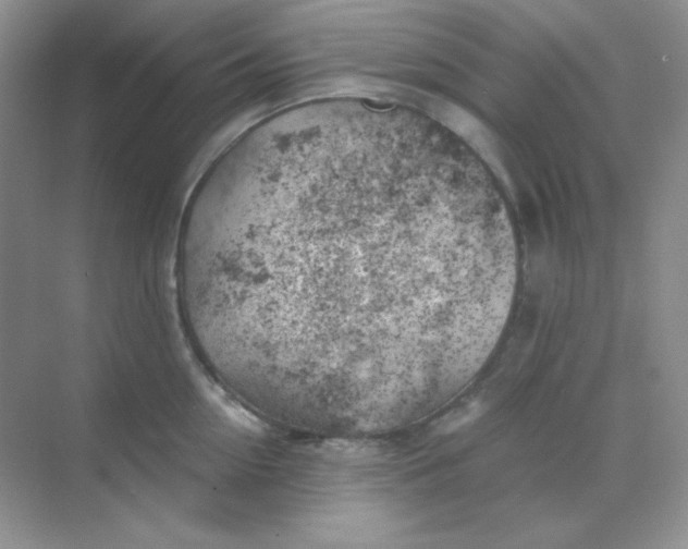 X0000068850954200605191948