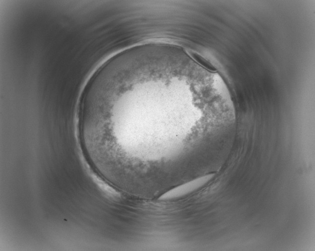 X0000068850955200605191948