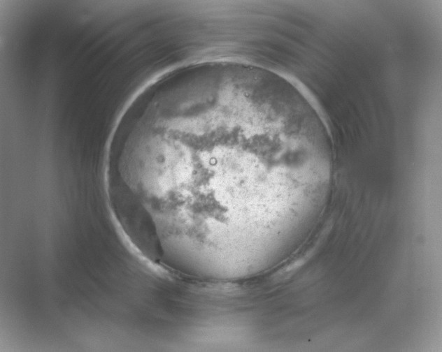 X0000068850957200605191948