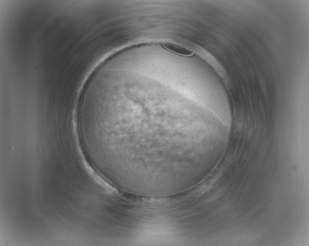 X0000068850958200605191948