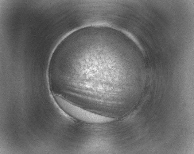 X0000068850959200605191948