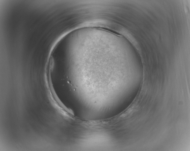 X0000068850960200605191948