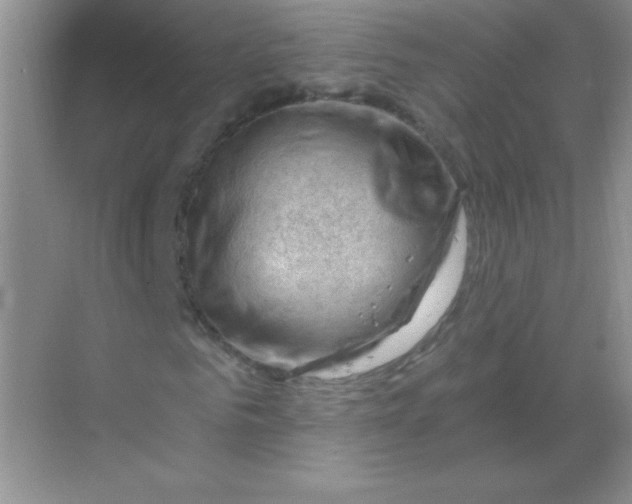 X0000068850961200605191947