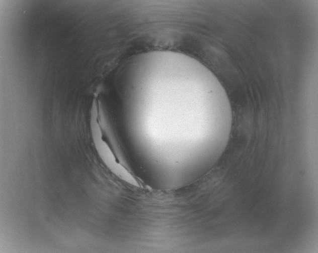 X0000068850962200605191947