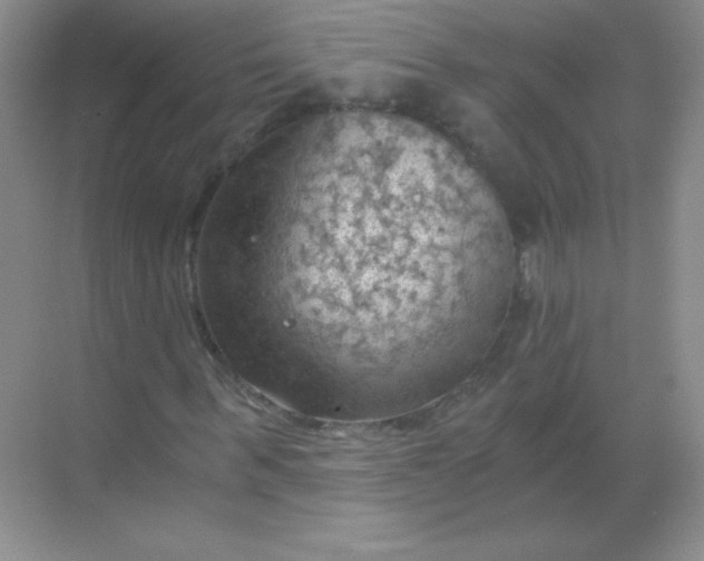 X0000068850963200605191947