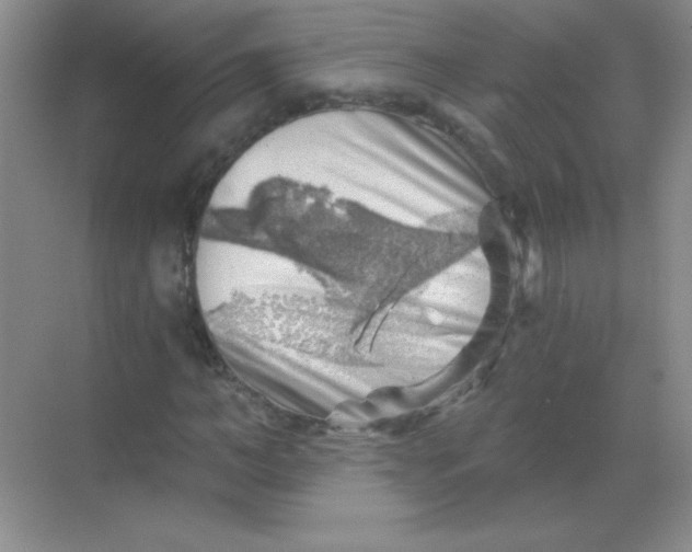 X0000068850966200605191947