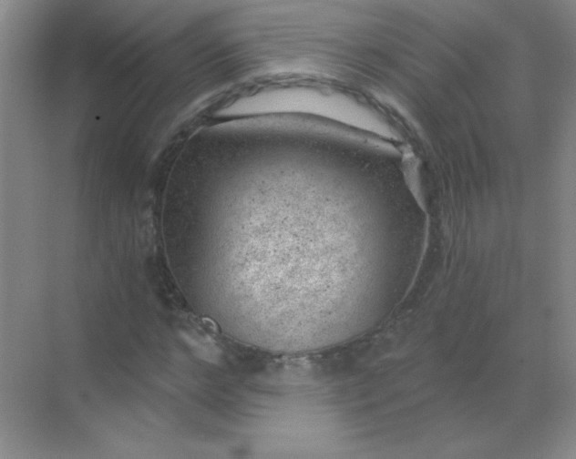 X0000068850968200605191947