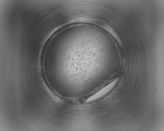 X0000068850972200605191947