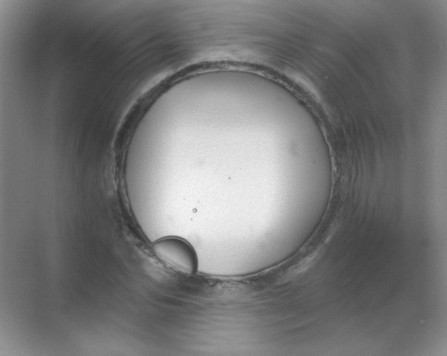 X0000068850974200605191947