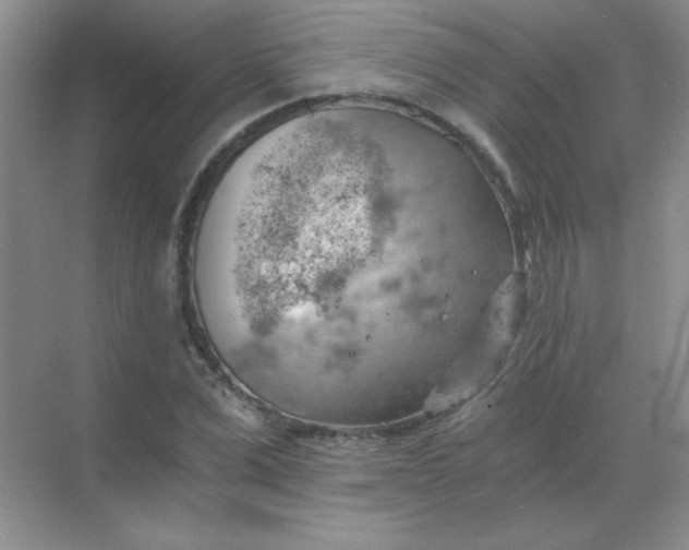 X0000068850975200605191947