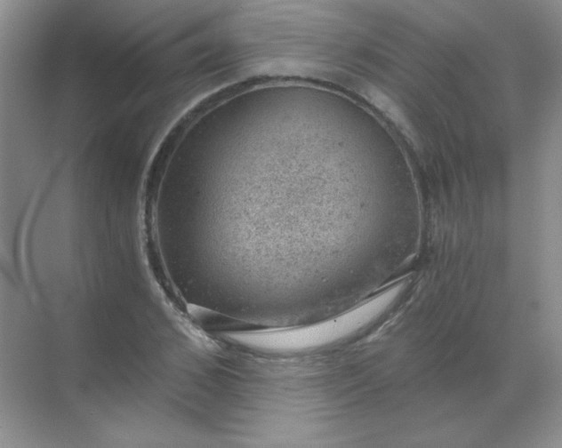 X0000068850976200605191947