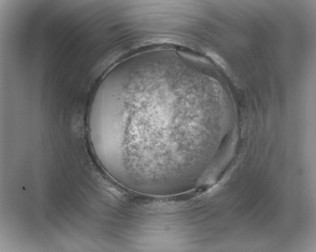 X0000068850977200605191947