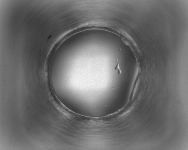 X0000068850981200605191947