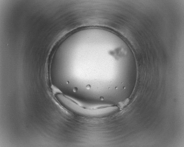 X0000068850982200605191947