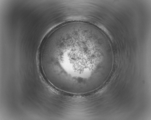 X0000068850983200605191947