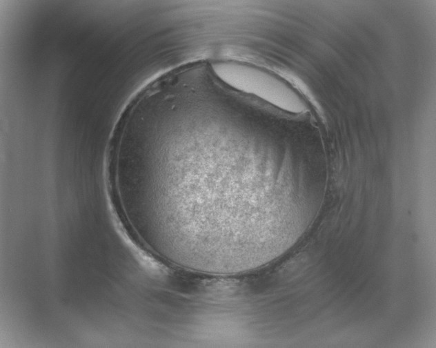 X0000068850991200605191947