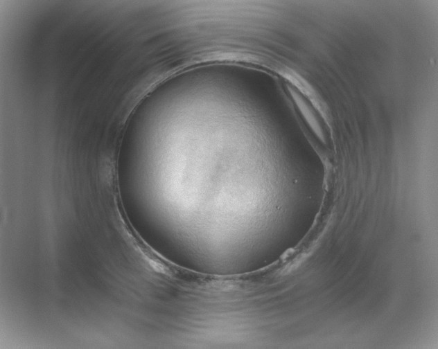 X0000068850993200605191947