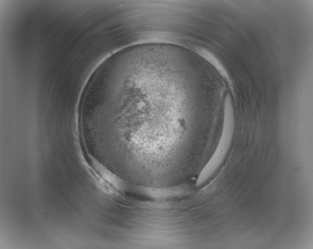 X0000068850996200605191947