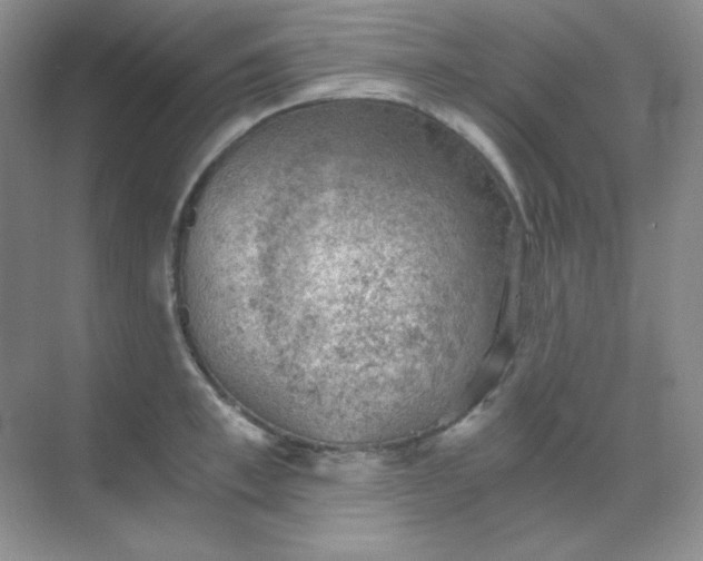 X0000068850997200605191946