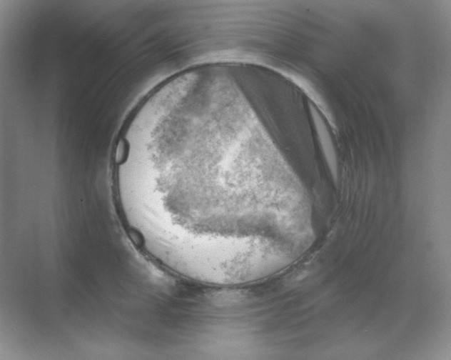 X0000068850998200605191946