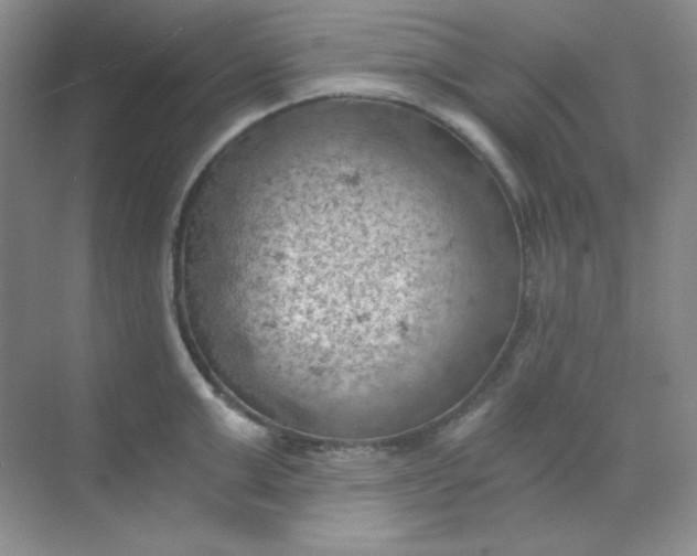 X0000068850999200605191946