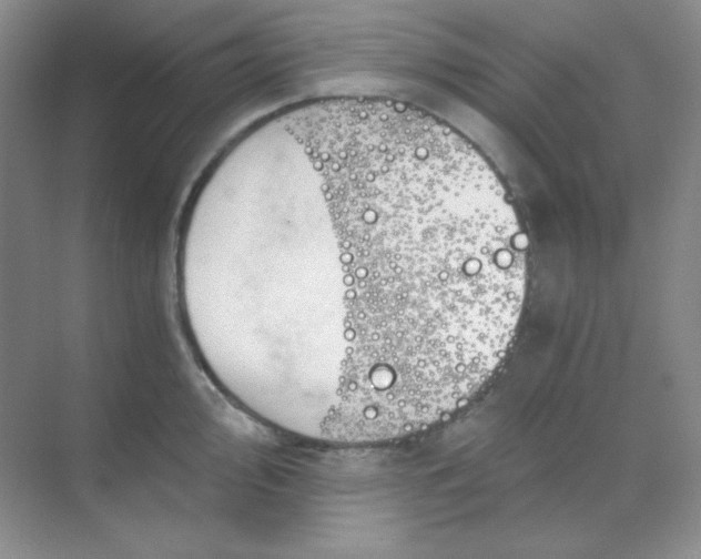 X0000068851000200605191946