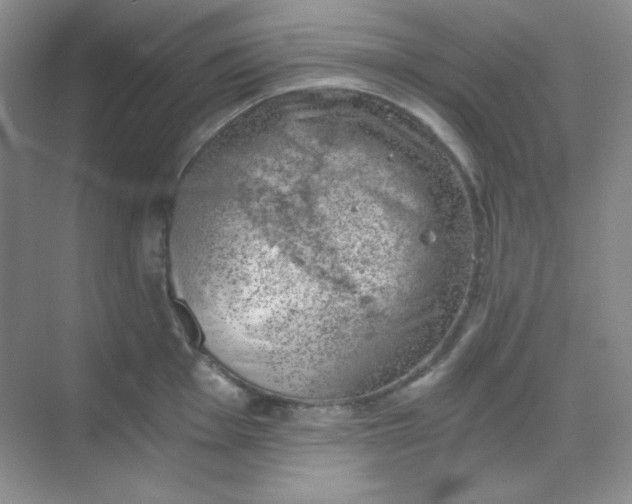 X0000068851001200605191946