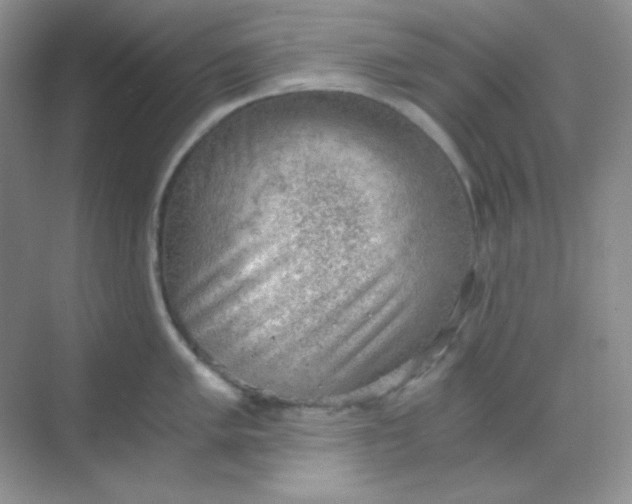 X0000068851005200605191946