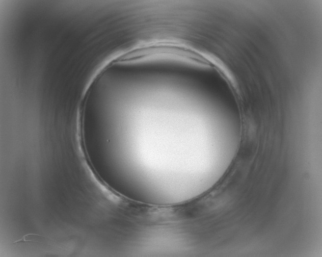 X0000068851006200605191946