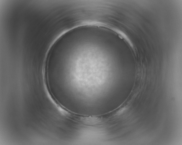 X0000068851007200605191946