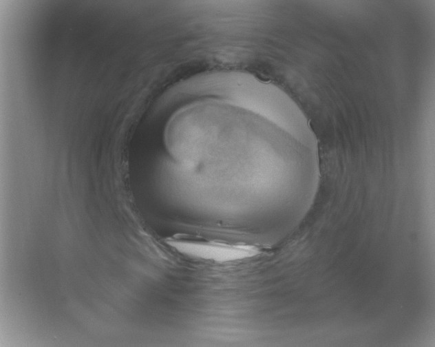 X0000068851009200605191946