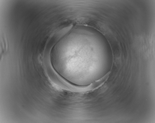 X0000068851010200605191946