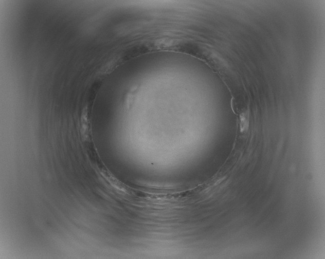 X0000068851011200605191946